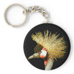 Crowned Crane from Junglewalk.com
