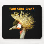 Crowned Crane from Junglewalk.com mousepads