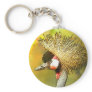 Crowned-Crane from JungleWalk