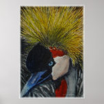 crowned crane "lady crane" posters
