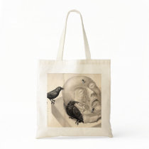 Crows and corpse bag