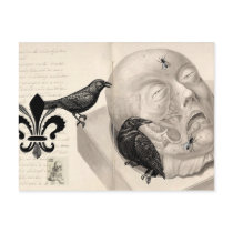 Crows and corpse post cards