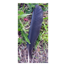 Crows Feather Photo Card