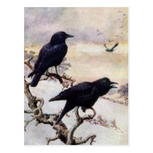 Crows in Winter Vintage Illustration Post Card