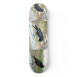 Crows Skateboard