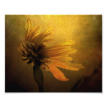 Croyant de The Sun Photo Sur Toile