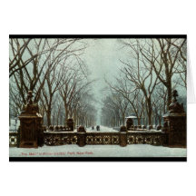 Cru c1910 du Central Park NY d'hiver Cartes De Vœux