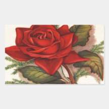 Cru, rose rouge, anniversaire d'épouse, sticker rectangulaire