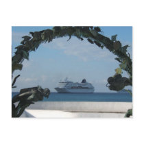 Cruise Cozumel MEXICO Postcard