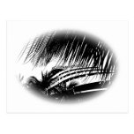 Cruise Ship Drawing Postcards