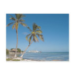 Cruise Ships in Costa Maya postcards