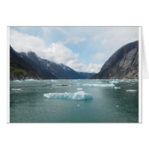 Cruising Alaska Inside Passage Card