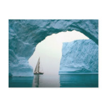 Cruising Antarctica Postcards
