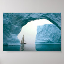 Cruising Antarctica Print