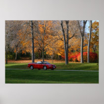 Cruising Through The Park Poster