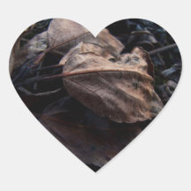 Crunchy Leaf Litter Stickers