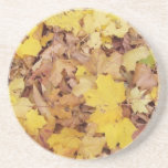 Crunchy Leaves coaster