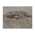 Crushed Dolphin Sandcastle Postcard