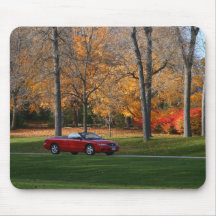 Crusing Through The Park Mousepad