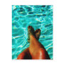 Crystal Clear Post Card