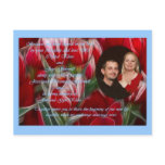 Crystal Jay Postcard