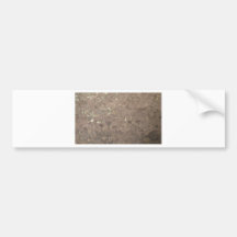Crystal Moments Bumper Sticker