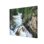 Crystal River, Gunnison National Forest, Stretched Canvas Prints