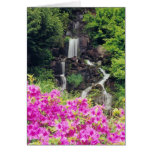 Crystal Springs Garden 1 Cards