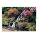 Crystal Springs Garden 2 cards