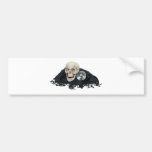 CrystalBallSkull033109 Bumper Sticker