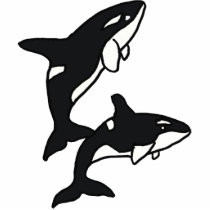 CT- Leaping Killer Whales Photo Sculpture