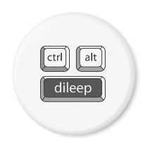 CTRL ALT DILEEP MAGNETS