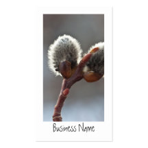CTW Catkin Twins Business Card