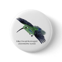 Cuban Emerald Hummingbird with Name Buttons