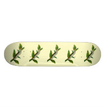 Cucullia verbasci caterpillar skate decks
