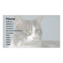 Cuddles Business Cards