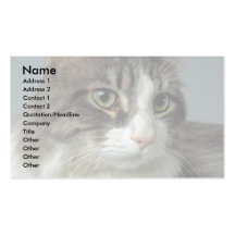 Cuddles Business Cards