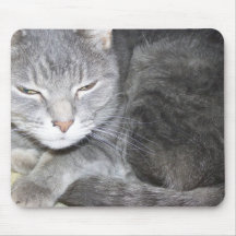 Cuddles Curled Up Mousepad