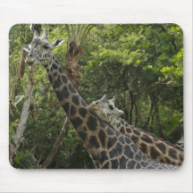 Cuddlinf Giraffes Mouse Pad