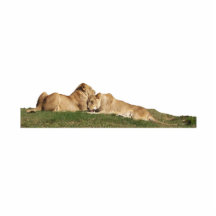 Cuddling Lions Sculpted Magnet Acrylic Cut Outs