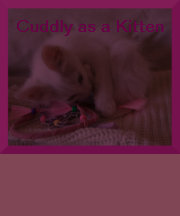 Cuddling Nightshirt