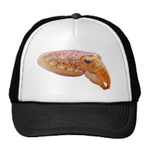 Cuddly Cuttlefish Trucker Hat