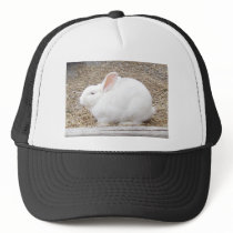 Cuddly White Bunny Mesh Hats