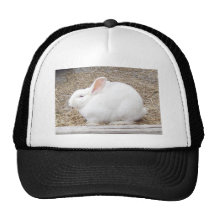 Cuddly White Bunny Mesh Hats