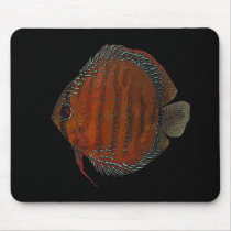 Cuipeua discus mouse pads
