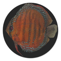 Cuipeua discus sticker