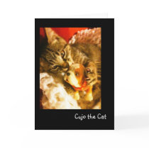 Cujo the Cat Attacks