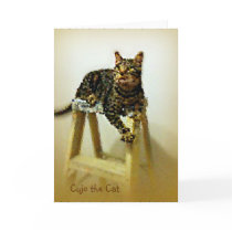 Cujo the Cat Impressionist