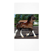culpeper,VA 098 Personalized Photo Card