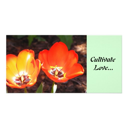 Cultivate Love Photo Cards